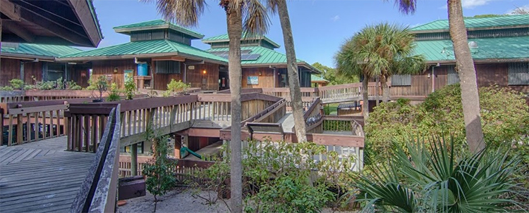 gumbo-limbo-nature-center
